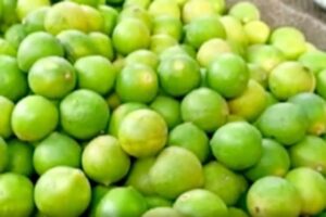 Lemon 10 sacks of lemons, 35 crates of tomatoes stolen from Gurugram vegetable market