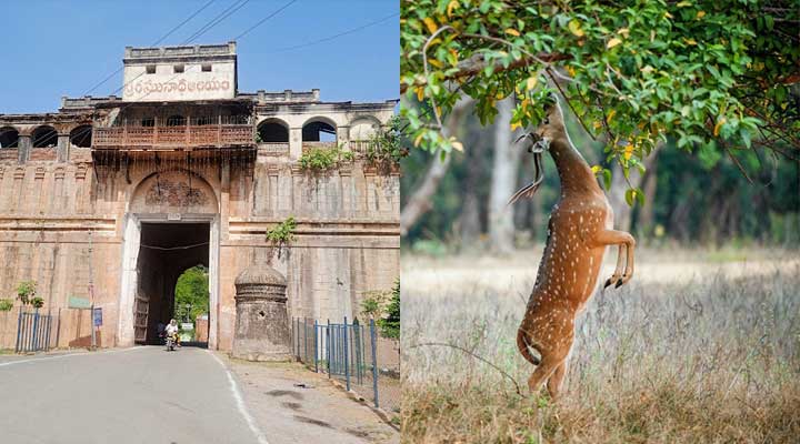 Nizamabad's Stone-Carved Sanctuaries and Panoramic Views