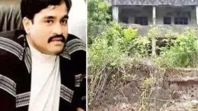 Two Village Properties Belonging to Terrorist-Dawood Auctioned, Fetching Over Rs 2 Crore