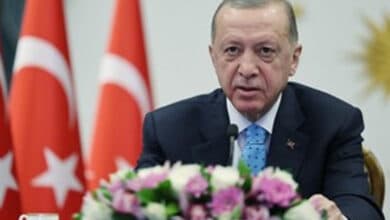 Turkey to continue cross-border operations on Kurdish militants in Iraq: Erdogan