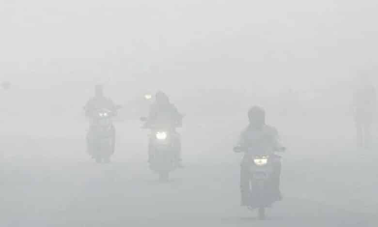 Foggy conditions likely in Telangana in next 24 hours: Met