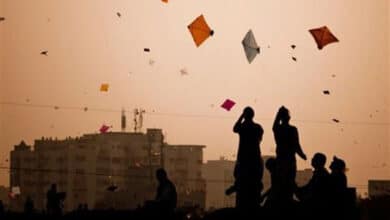 Sankranti News | Kite flying claims nine lives in Telangana