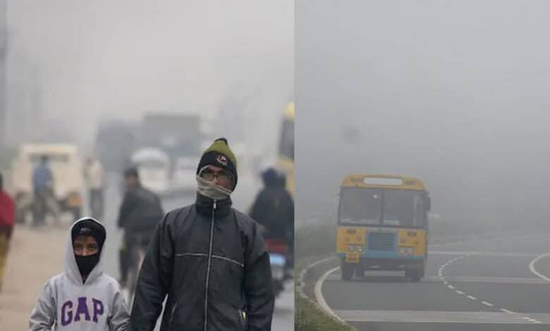 WEATHER 1 Foggy conditions likely in Telangana in next 24 hours: Met