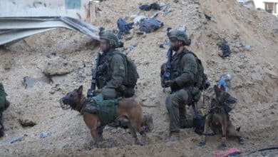 IDF proposes plan to evacuate civilians from Gaza’s Rafah