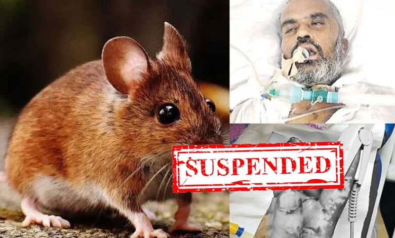 Two doctors suspended after rats' bite patient at Telangana hospital