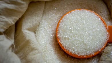 Cabinet approves extension of sugar subsidy scheme for poor by 2 years