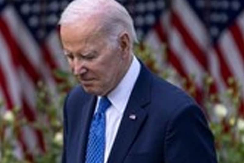 Biden's campaign, Democratic Party freeze $340K donation from Indian American businessman: Report