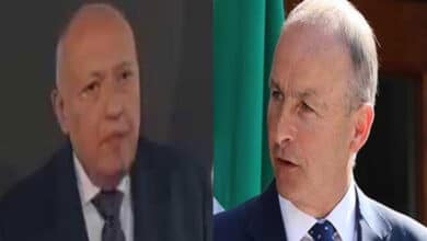 Egyptian, Irish FMs discuss efforts to realize Gaza ceasefire