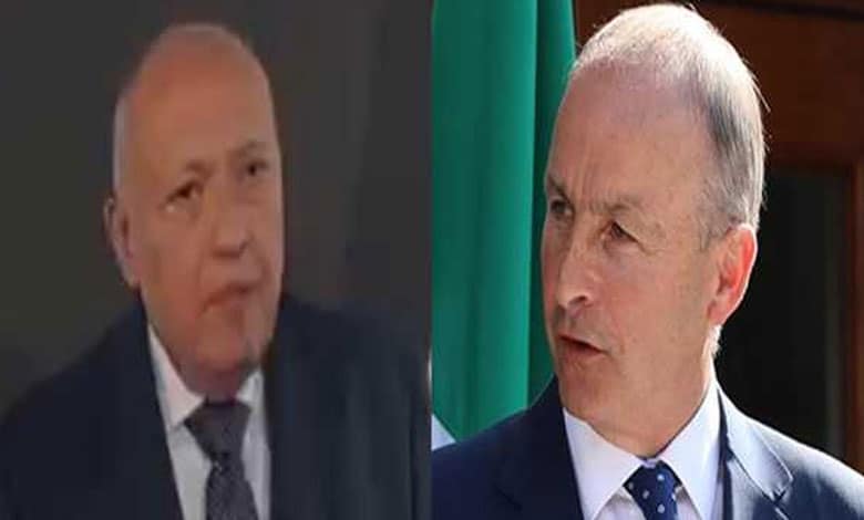 Egyptian, Irish FMs discuss efforts to realize Gaza ceasefire