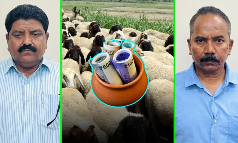 Telangana: Two more govt officials arrested in sheep distribution scam