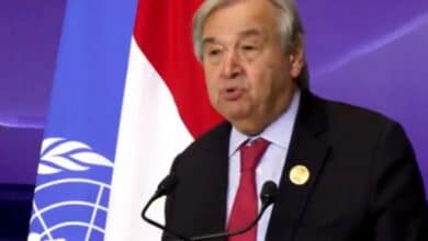 UN chief calls for probe into suspected Israeli targeting of civilians in Gaza