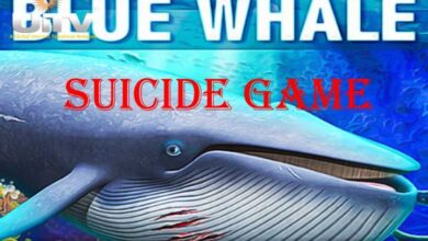 Indian student's death in US possibly linked to Blue Whale suicide game