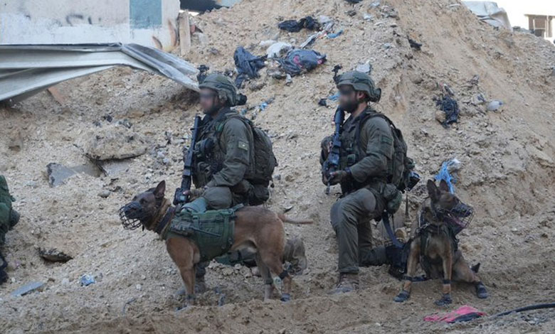 Israel demands release of at least 33 hostages to prevent Rafah attack