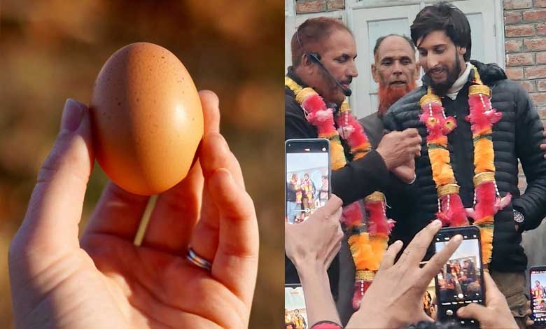 Egg donated for mosque construction fetches over Rs 2.26 lakh in auction