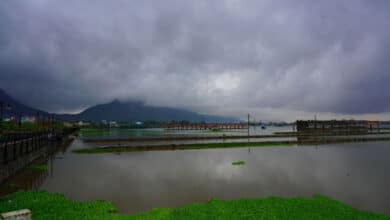 Thunderstorm with lightning & gusty winds likely in Telangana in next 5 days: Met