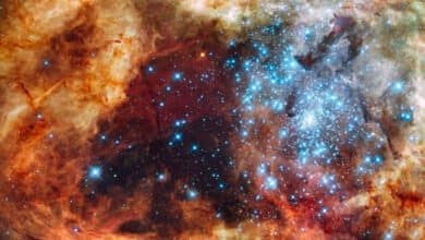 NASA's Hubble Telescope Captures Stunning Image of 'Fierce Tarantula Nebula', Goes Viral