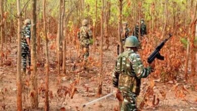 12 Naxalites killed in encounter with security forces in Chhattisgarh's Bijapur district