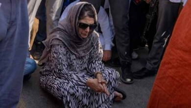 JK: Mehbooba alleges PDP workers detained on polling day, holds protest; police lathicharge crowd: Video