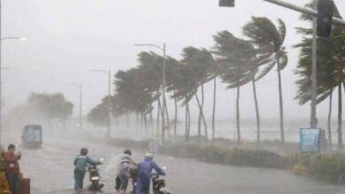 Heavy rains, gales claim 13 lives in Telangana