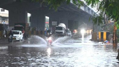 Telangana Rain: Hyderabad and these Districts to Witness Rainfall for Four Days