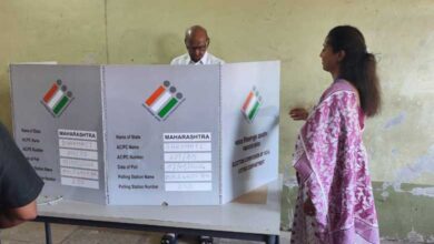 LS polls in Maharashtra: 18.18 pc turnout till 11 am; Pawars among early voters