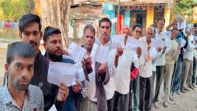 Lok Sabha polls: Telangana records 24.31 per cent voter turnout till 11 AM