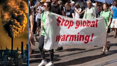 Rise of Global Temperature: A Warning