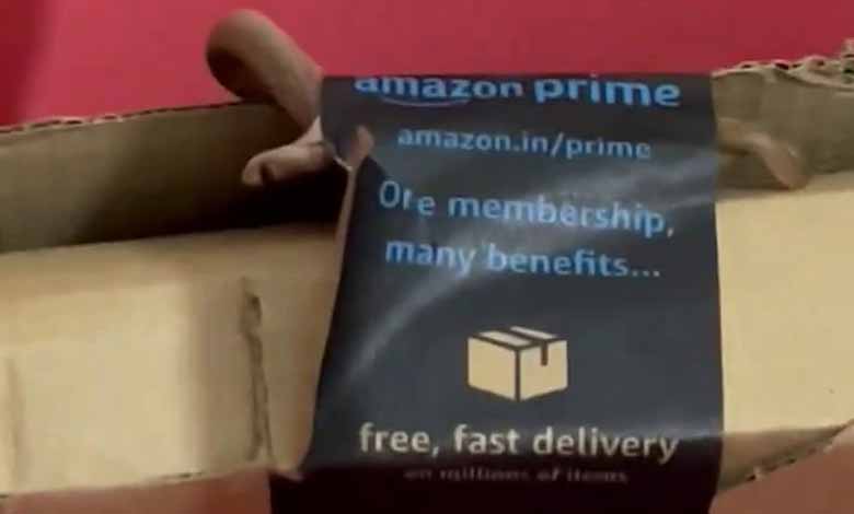 Bengaluru couple shocked as they find snake in Amazon package: Video