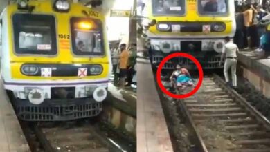 Woman survives but loses legs after train runs over her: Video