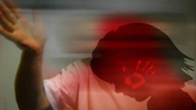 Telangana Cyber Security Bureau registers FIR after actor reports child abuse