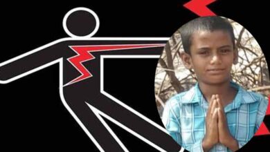 12-year-old Karnataka boy dies of electrocution in bid to save pigeon on power line