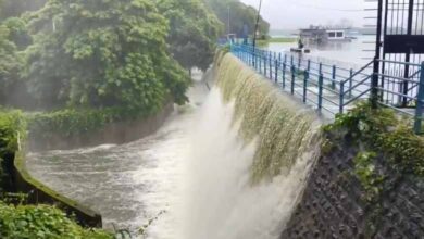 Mumbai: Powai Lake overflows amid heavy rains: Video