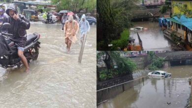 Rain mayhem in Mumbai: Local train and flight services hit; schools shut: Video