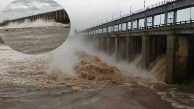 Telangana Rains | Officials Put on High Alert, Instructed to Stay at Headquarters