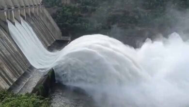 Telangana News | Srisailam Dam Gates Opened: Video