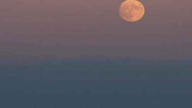 1st Supermoon of 2024 to grace Indian skies on Monday evening