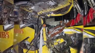 Seven killed in bus-car collision