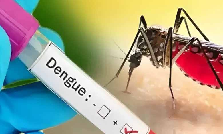 Telangana News | Chief Minister Revanth Reddy Directs Officials to Remain Vigilant Against Seasonal Diseases