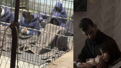 Middle East | Released Palestinians describe worsening abuses in Israeli prisons