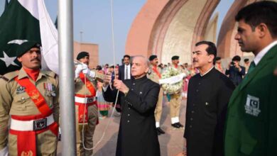 Pakistan Celebrates 78th Independence Day: PM Shehbaz Sharif Pledges to Unveil 5-Year Plan for Economic Stability