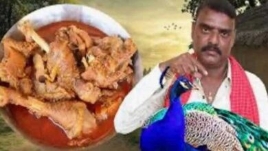 YouTuber in Telangana booked for making video featuring 'peacock curry' recipe