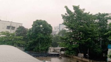 Heavy rain likely in Telangana in next 3 days: Met