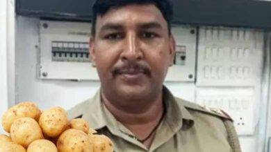 Cop demands 5 kg potatoes as 'bribe', suspended after audio goes viral