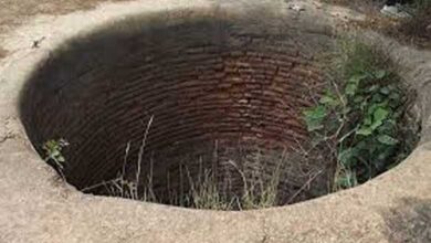 Gujarat: Two migrant children die after falling into well