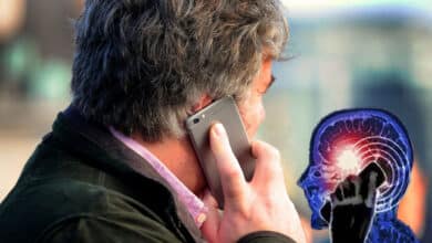 Mobile phones are not linked to brain cancer, according to a major review of 28 years of research