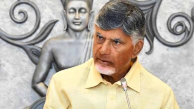 Andhra Pradesh News | Enumeration of losses to be completed today