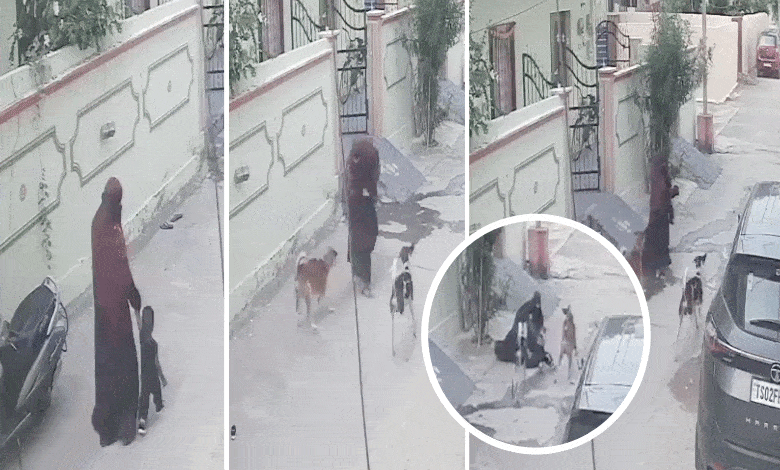 Stray Dogs Attack Mother and Son in Karimnagar, Video Goes Viral