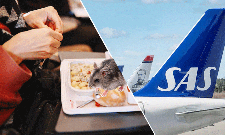 Flight Makes Emergency Landing After Live Rat Surfaces in Woman's Food