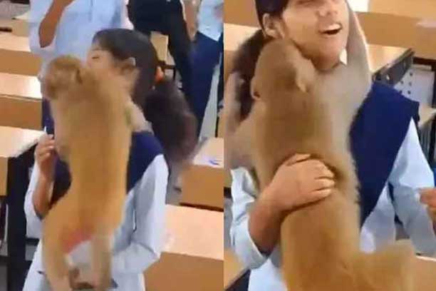 Monkey's Surprise Classroom Visit Brings Joy and Laughter