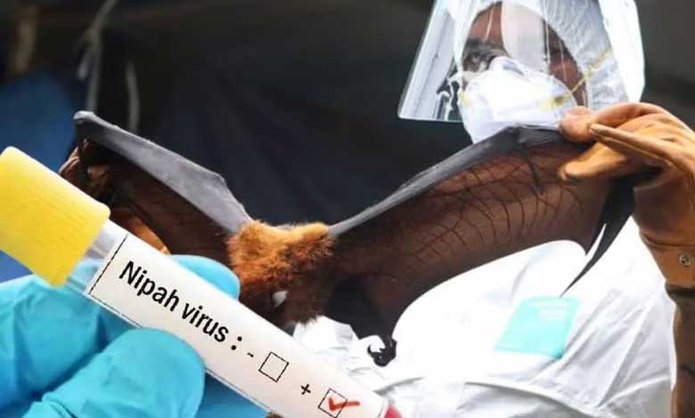 A postgraduate student has died due to the Nipah virus in the Naduth region of Thiruvalli panchayat, located in Kerala's Malappuram district. This was confirmed by the state's health minister, Veena George, on Sunday.